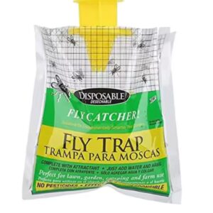 FlyTrap Eco