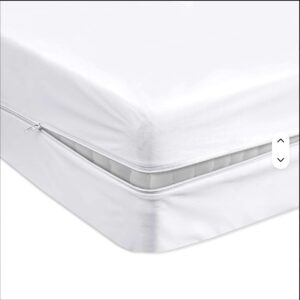 Housse de Matelas Anti Punaises de Lit