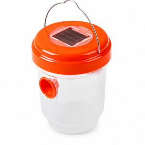 Pack Piège à Guêpes et Frelons + 5 Appâts Liquides Attractifs